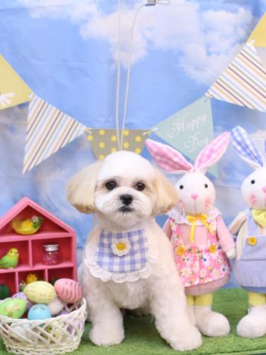 20240330ふくくん